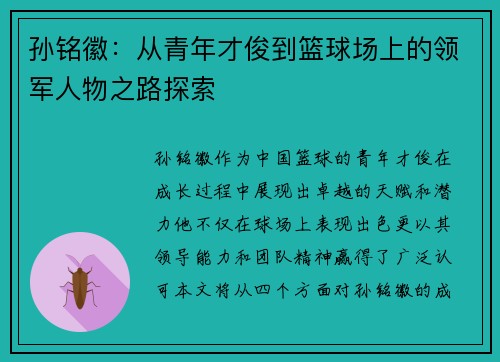 孙铭徽：从青年才俊到篮球场上的领军人物之路探索