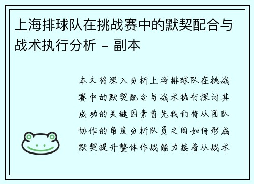 上海排球队在挑战赛中的默契配合与战术执行分析 - 副本